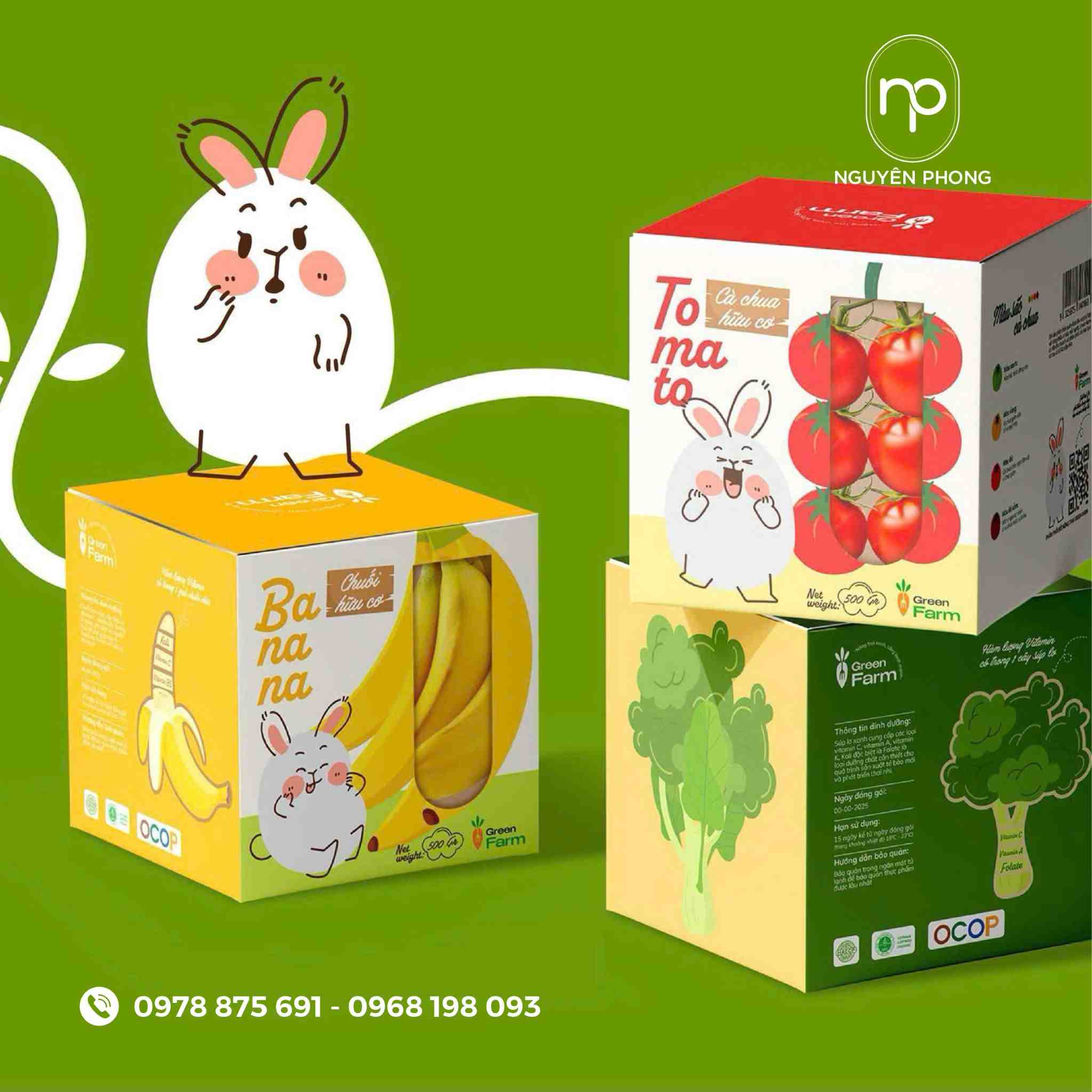 Mẫu hộp giấy đựng thực phẩm